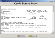 Thumbnail: View the credit bureau report.